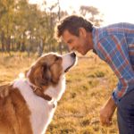 Quatro Vidas de um Cachorro (2017)│Crítica