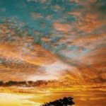 Uma Nova Tarde - L&P│Conto